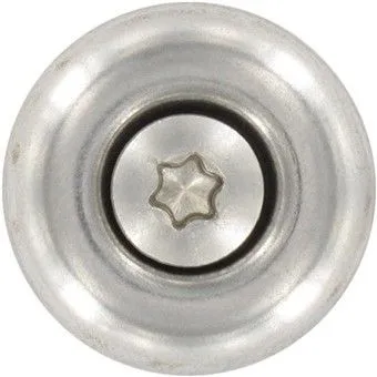 EDELSTAHL Spenglerschraube 4,5 x 45 mm TORX 20