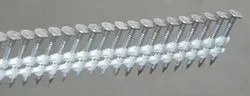 EDELSTAHL Streifen- Haftennagel 2,5 x 25 mm gerillt