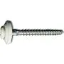 EDELSTAHL Spenglerschraube 4,5 x 35 mm TX 20 lackiert weiß RAL 9010 EDELSTAHL Spenglerschraube 4,5 x 35 mm TX 20 lackiert weiß RAL 9010
