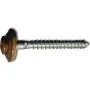 EDELSTAHL Spenglerschraube 4,5 x 25 mm TX 20 lackiert sepiabraun RAL 8014