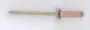 Blindniete Kupfer/Bronze 3,2 x 7,0 mm
