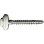 EDELSTAHL Spenglerschraube 4,5 x 25 mm TX 20 lackiert weiß RAL 9010 EDELSTAHL Spenglerschraube 4,5 x 25 mm TX 20 lackiert weiß RAL 9010