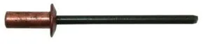 Dicht-Blindniete Kupfer/Stahl 3,2 x 12,5 mm